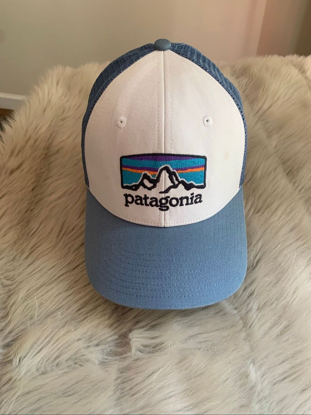 Patagonia Fitz Roy Horizons Trucker Hat